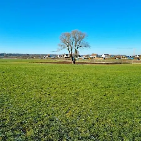 Ruhige, Modern Eingerichtete 2 Im Untergeschoss Eines Zweifamilienhauses *