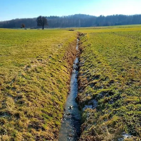 Apartment Ruhige, Modern Eingerichtete 2 Im Untergeschoss Eines Zweifamilienhauses *