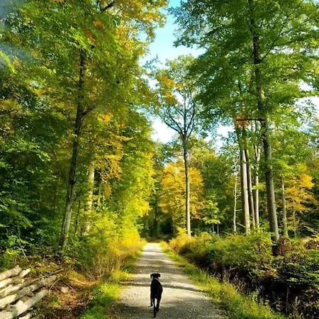 Apartment Ruhige, Modern Eingerichtete 2 Im Untergeschoss Eines Zweifamilienhauses